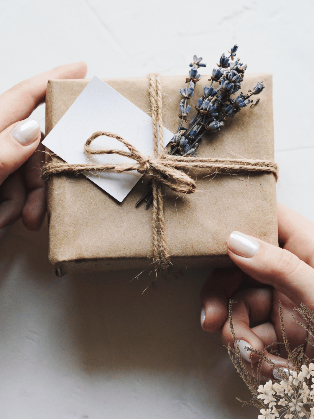 Geschenke - Geschenk in Packpapier mit Sisalkordel umwickelt und ein Strauch Lavendel eingebunden in den Händen einer Frau