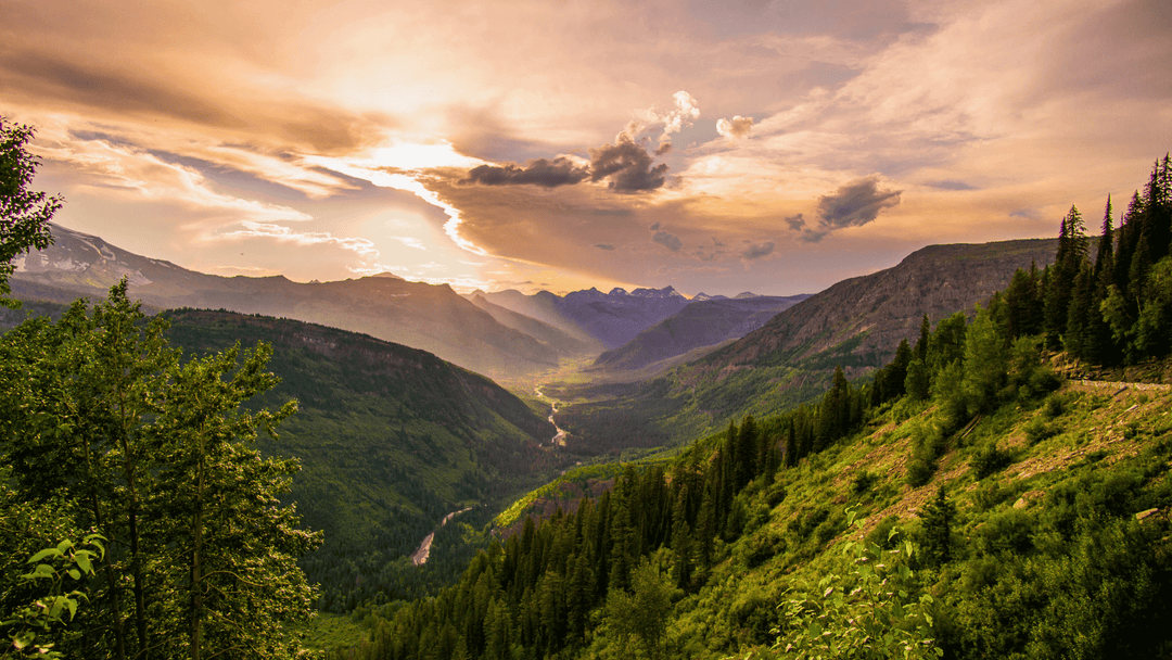 Natur