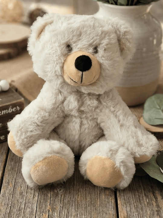 Teddybär Paul aus recycelten PET - achtsame Geschenke für Frauen bei Alles auf Anfang in Bedburg, NRW